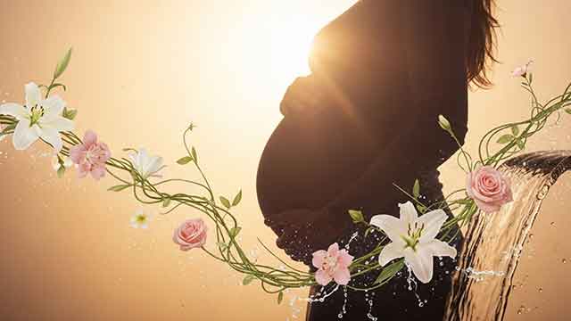 2026년 가임력 검사비 지원 최대 3회 조건: 연령/소득 기준 및 신청 절차 완벽 정리