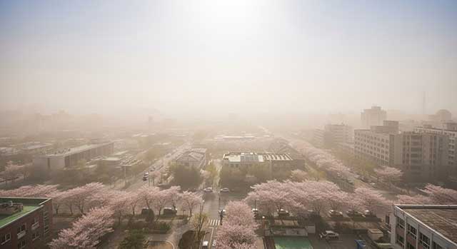 2026년 봄철 미세먼지·황사 완벽 가이드: 마스크 기준부터 공기청정기 필터 교체까지